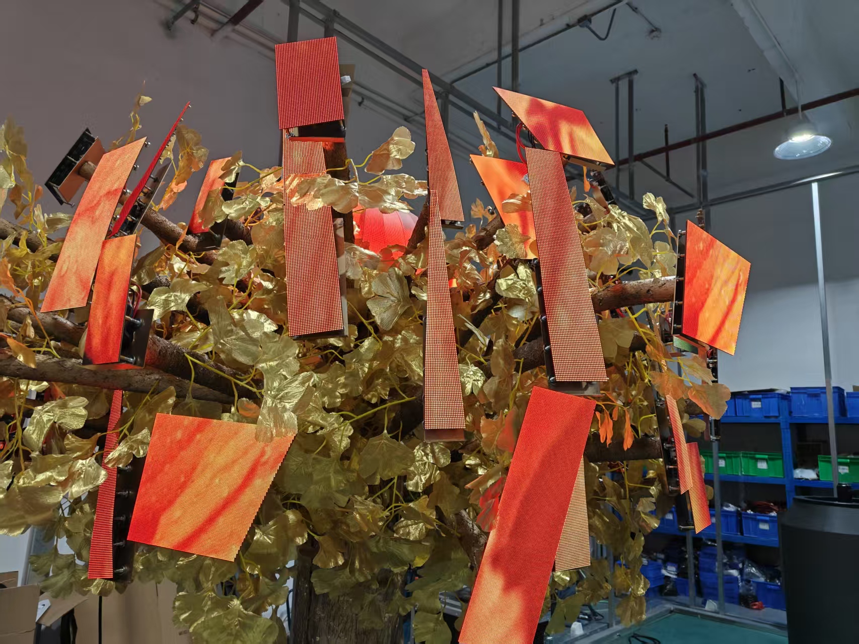 英宝展会用发财树